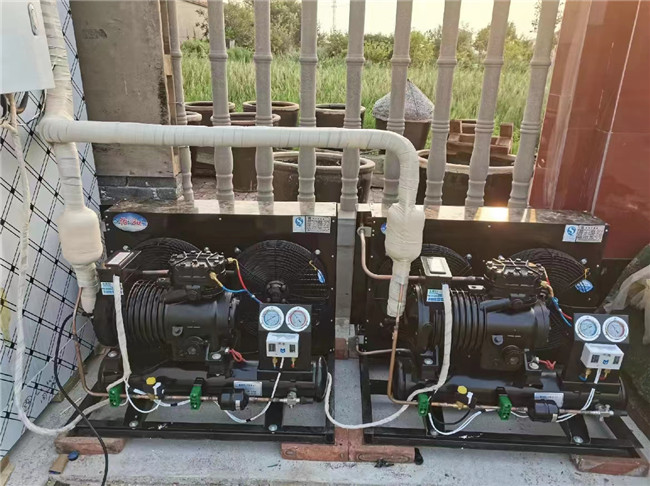 汶上冷庫(kù)安裝